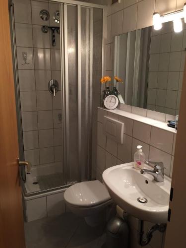 a bathroom with a shower and a toilet and a sink at Ferienwohnung Auszeit in Fischen