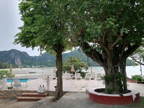 two trees and chairs next to a swimming pool at Phi Phi View Point Resort in Phi Phi Don