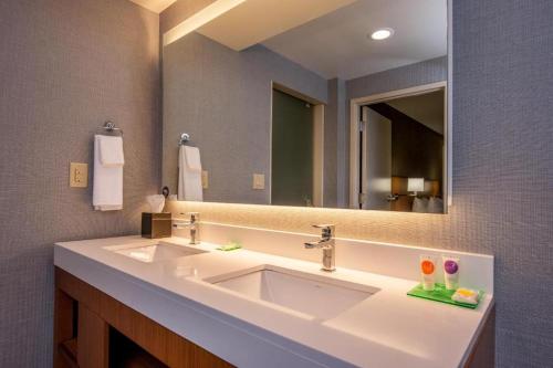 a bathroom with a sink and a large mirror at Hyatt Place Chicago O'Hare Airport in Rosemont