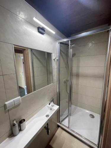 a bathroom with a shower and a sink and a mirror at Akmenine Kerpe in Marijampolė