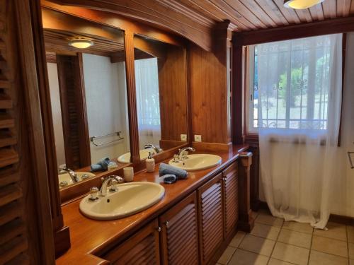 a bathroom with two sinks and a large mirror at Shanti Ghar Guest House in Tamarin