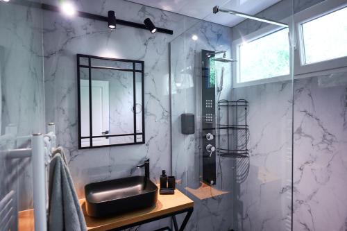 a bathroom with a shower with a sink and a mirror at Blue Kokilia in Chilia Veche