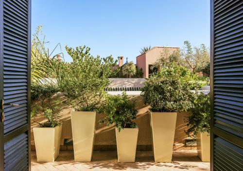 a row of large white vases with plants in them at Riad Idra in Marrakech