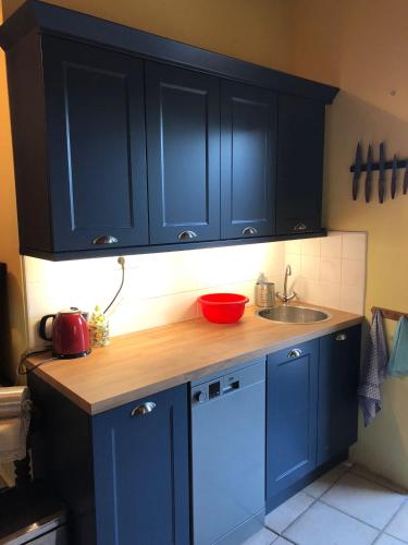 a kitchen with blue cabinets and a sink at Mes Maisons Gardoises, Two Gites sleeping 13 with Two Private pools, Kids Room, Laundry, Disco, free WiFi, Linen and Dog's are Welcome in Gagnières