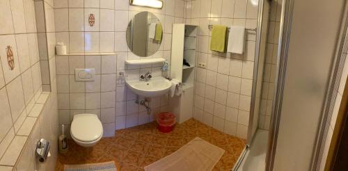 a small bathroom with a toilet and a sink at Pension Schwemberger ohne Frühstück in Mayrhofen