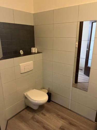 łazienka z toaletą i lustrem w obiekcie Apartman Orlí hnízdo w mieście Liberec