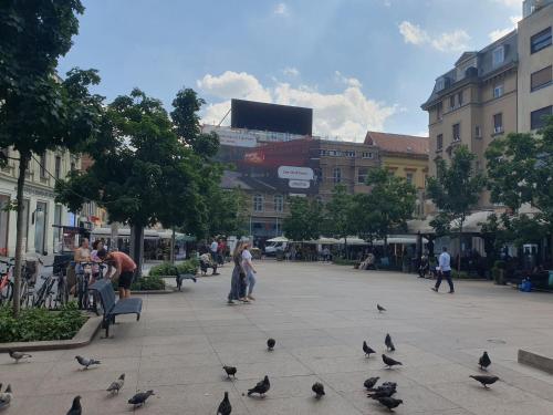 2br condo in the heart of Zagreb