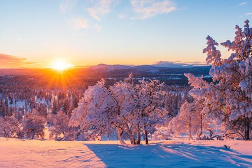 een winterse zonsondergang met sneeuw bedekte bomen in een veld bij Vinterdröm Idre Himmelfjäll in Idre