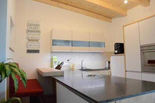a kitchen with a counter and a refrigerator at Sunside Apartment in Zell am Ziller