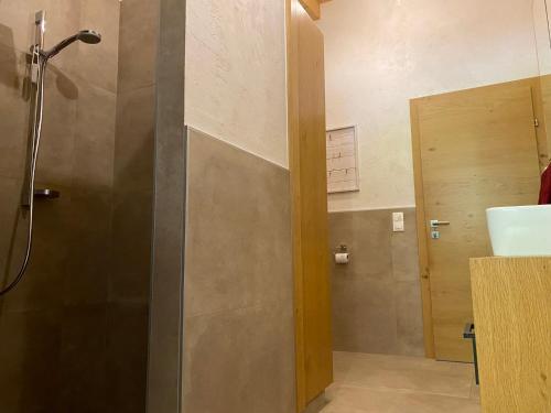 a bathroom with a shower stall and a sink at Sunside Apartment in Zell am Ziller