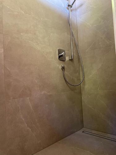 a shower with a shower head in a bathroom at Sunside Apartment in Zell am Ziller