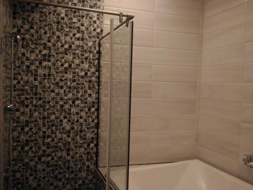 a bathroom with a shower and a bath tub at Wei Feng Hotel - Kaohsiung in Nanzi