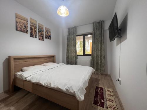 a bedroom with a bed and a television in it at Cozy Apartment - Palas in Iaşi