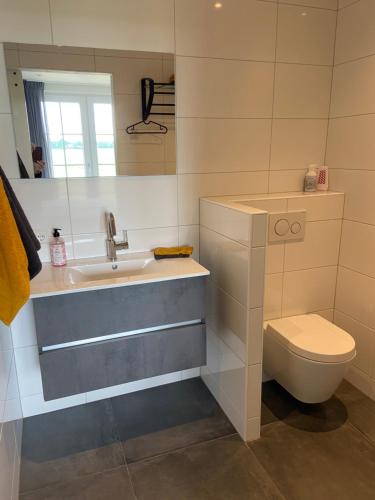 een badkamer met een wastafel en een toilet bij Hof van Lenthe appartement De Bosrand in Dalfsen