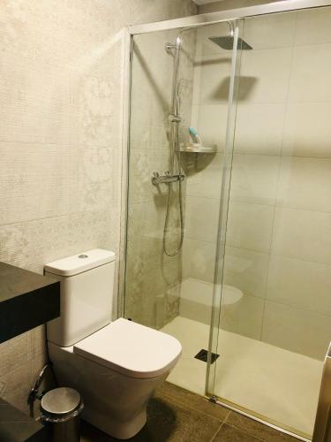 a bathroom with a toilet and a glass shower at Apartamentos Zabalarena Basoa in Orbaiceta