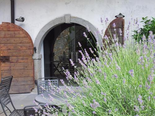 Zahrada ubytování Boutique Hotel Dvor