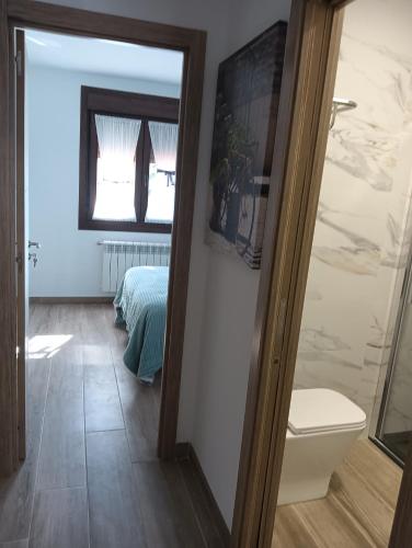 a bathroom with a toilet and a mirror at Apartamentos Luis in Arzúa