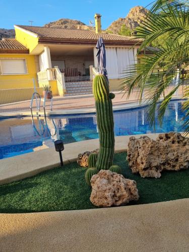 a cactus and rocks in front of a house at Casa Rural Familiar Piscina Sierra Balumba in Cobatillas