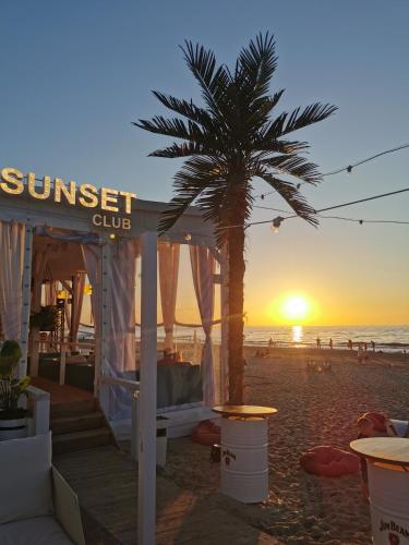 a palm tree on the beach with a sunset at Your Holidays Waves in Międzyzdroje