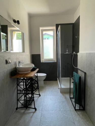 a bathroom with a sink and a shower and a toilet at Apartamenty Brenna Klimorówka in Brenna