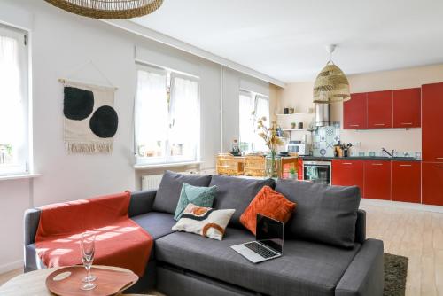 - un salon avec un canapé gris et des oreillers colorés dans l'établissement Confort - Artémis - Centre Ville, à Colmar