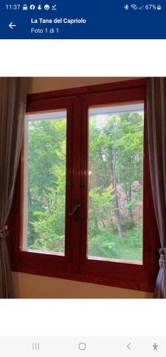 a window with a view of a forest at La Tana del Capriolo in Prati di Tivo