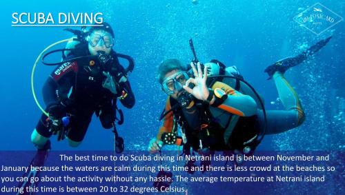 due persone in acqua per immersioni subacquee di The Postcard on the Arabian Sea a Udupi