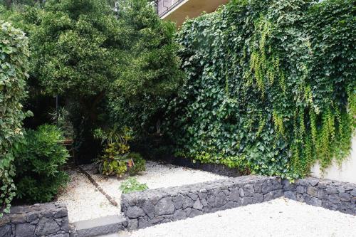 un jardin avec des buissons verts et un mur en pierre dans l'établissement Rosso Vulcano, à Nicolosi