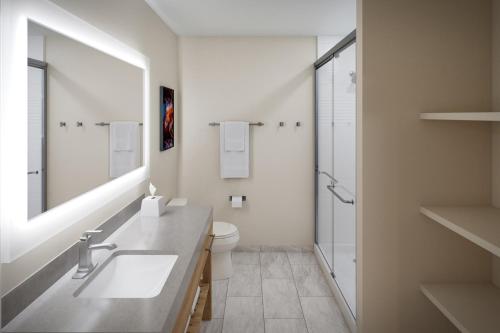 a bathroom with a sink and a toilet and a shower at Candlewood Suites Jackson in Locust Grove