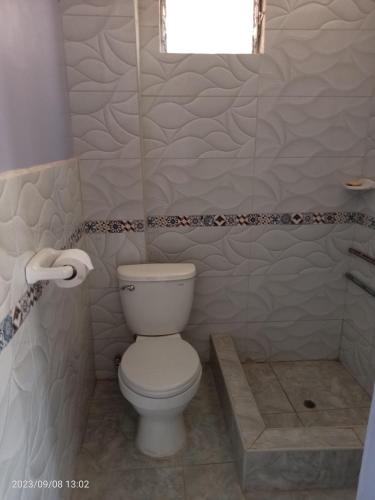 a bathroom with a white toilet and a shower at La casa de Yllari in Cusco
