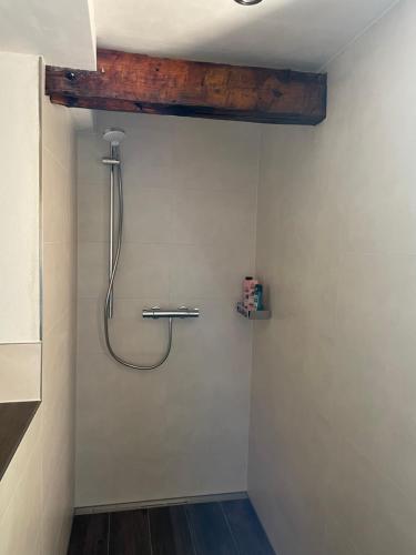 a shower in a bathroom with a wooden ceiling at Ferienhaus Königstein in Königstein an der Elbe
