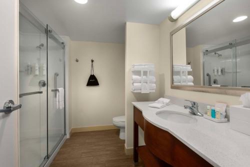 a bathroom with a sink and a toilet and a mirror at Hampton Inn Belmont at Montcross in Belmont