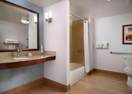 a bathroom with a sink and a toilet and a mirror at Hilton Garden Inn Ann Arbor in Ann Arbor