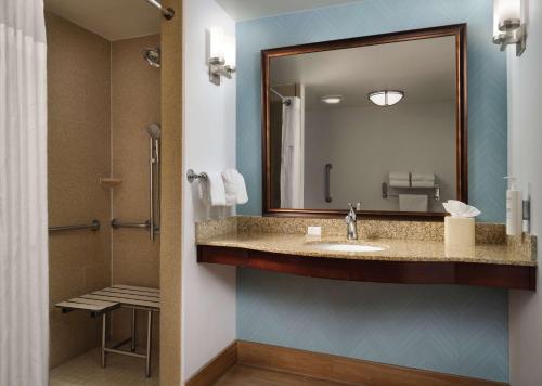 a bathroom with a sink and a mirror at Hilton Garden Inn Ann Arbor in Ann Arbor