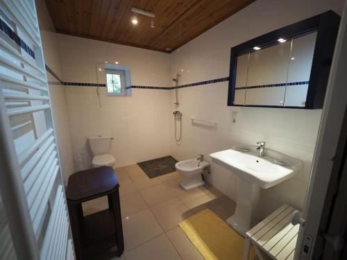 une salle de bain avec un lavabo et des toilettes dans l'établissement Votre gîte en Périgord : La Grangette., à Sauveterre-la-Lémance