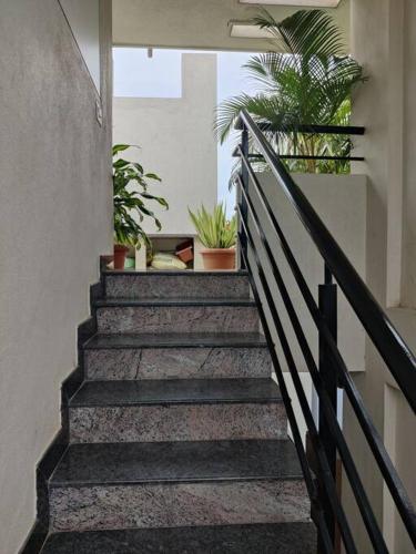uma escada num edifício com vasos de plantas em a 1bhk full service appartment entire house em Bangalore