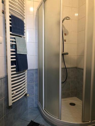 La salle de bains est pourvue d'une cabine de douche et de carrelage bleu. dans l'établissement Appartement Cosy, à Saint-Étienne