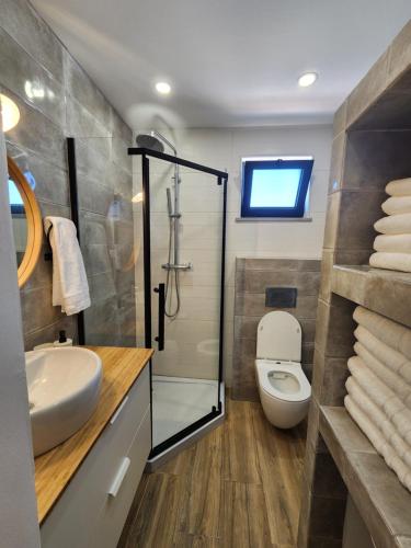 een badkamer met een toilet, een douche en een wastafel bij Luz Do Sul Holiday Rental - Pedras in Moncarapacho