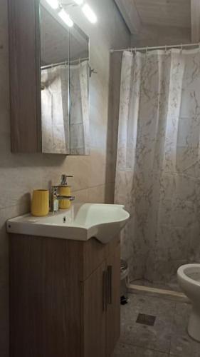 La salle de bains est pourvue d'un lavabo et d'une douche. dans l'établissement Fillip wooden house, à Prévéza