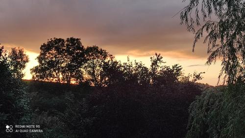 a sunset over a group of trees in a field at Un brin de Paradis "appartement de 100 m²" in Harzé