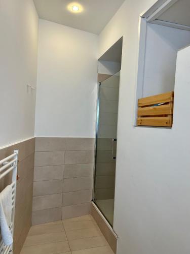 a shower with a glass door in a bathroom at THE PALACE B&B and Apartments in Santo Stefano di Camastra