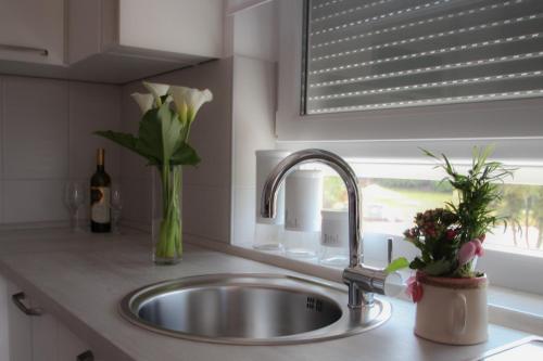 a kitchen sink with a vase of flowers and a window at Apartment Matea in Banjole