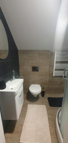 een badkamer met een wit toilet en een wastafel bij Apartman Queen in Pasuljište