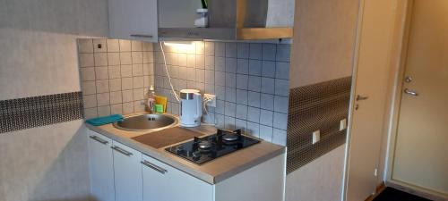 Kuchyň nebo kuchyňský kout v ubytování Kopli Apartment