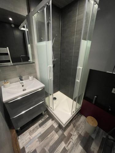 une salle de bain avec douche et lavabo dans l'établissement Studio en Résidence La Baie de l Adon, à Saint-Gilles-Croix-de-Vie