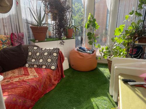 a room with green carpet and a couch and plants at 32 