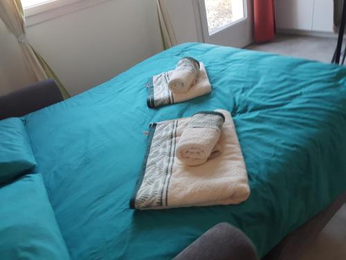 En eller flere senge i et værelse på la chambre du chemin