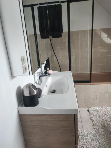 une salle de bain avec un lavabo et une douche dans l'établissement Chambre chez l'habitant, à Châteaubriant