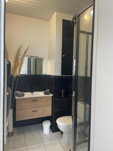 uma casa de banho com um WC, um lavatório e um chuveiro em Appartement 35 m2 1er étage 200 m de la mer em Luc-sur-Mer
