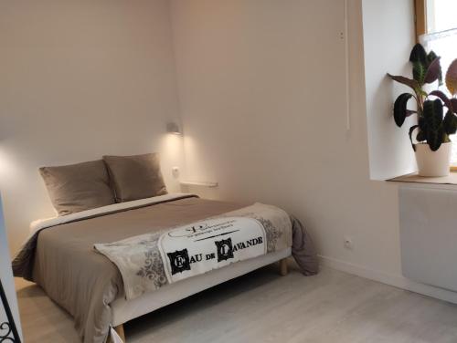 ein Schlafzimmer mit einem Bett und einer Topfpflanze in der Unterkunft Manoir de la Guignardiere : Thé ou café ? in Chavagne